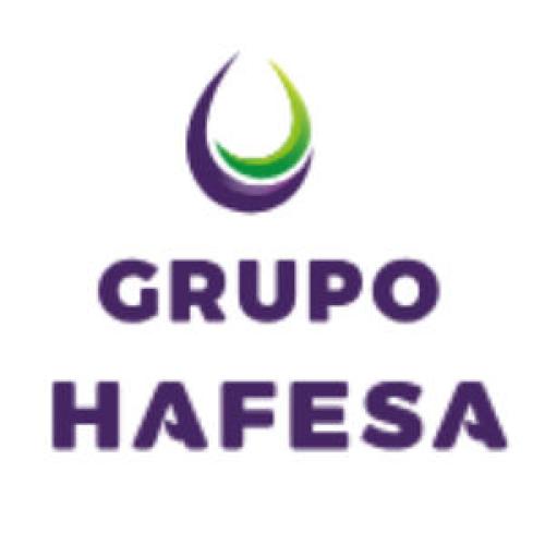 HAFESA OIL OFRECE DESCUENTOS DE 4 CNTIMOS POR LITRO